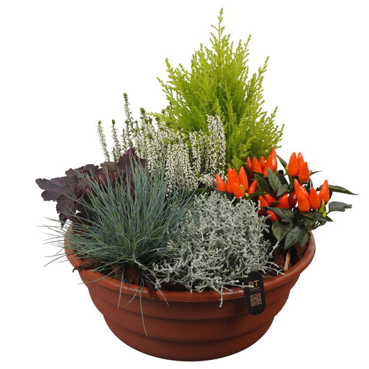 Outdoor arrangement 41cm 32cm Pot
