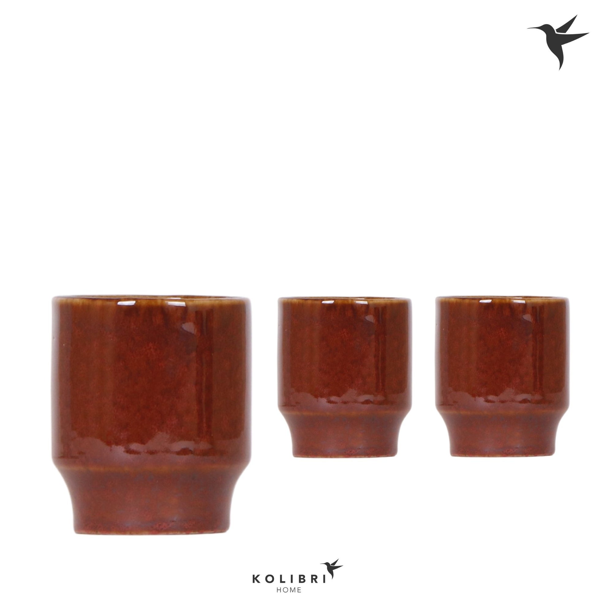 OK Plant Kolibri Home Classy pot red Pack of 12
