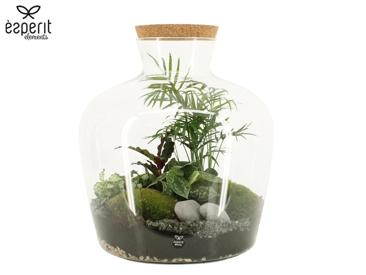 Indoor arrangement 35cm 33cm Pot