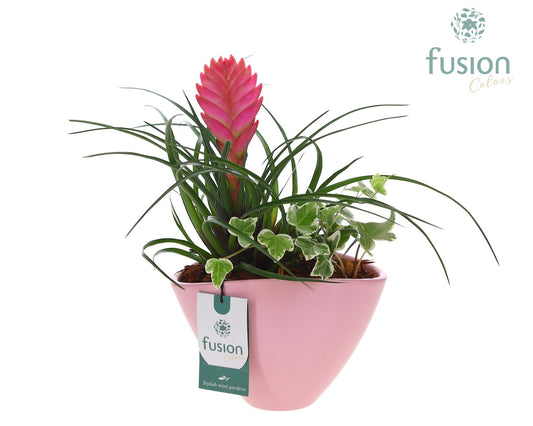 Pot keramiek ovaal Medium met Arrangement 29cm 18cm Pot
