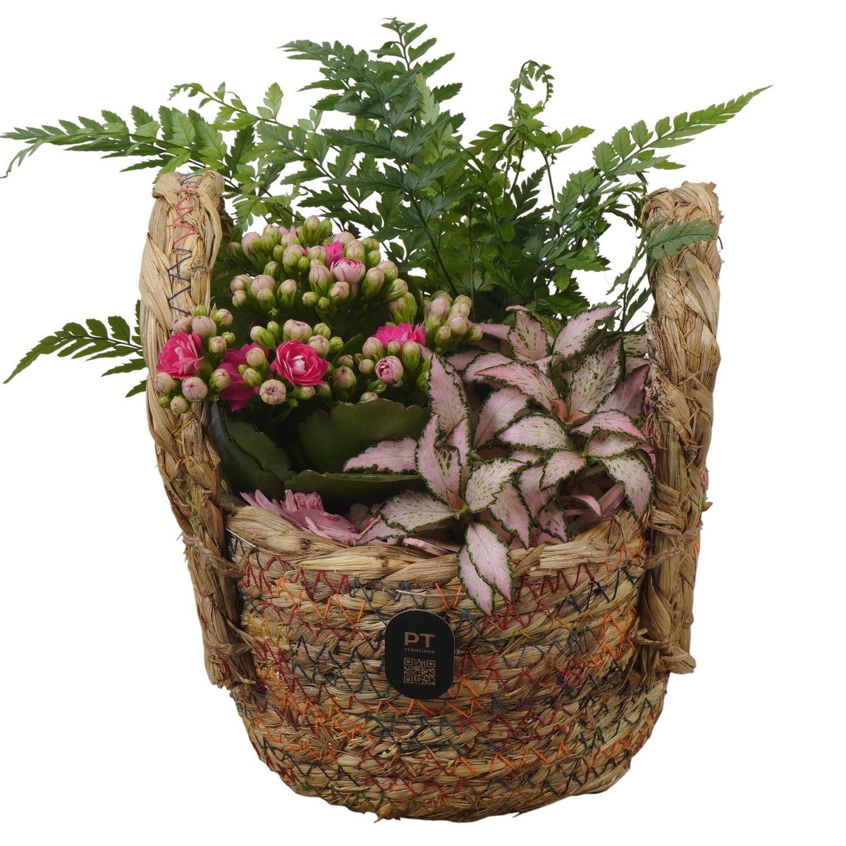 Indoor arrangement 19cm 16cm Pot