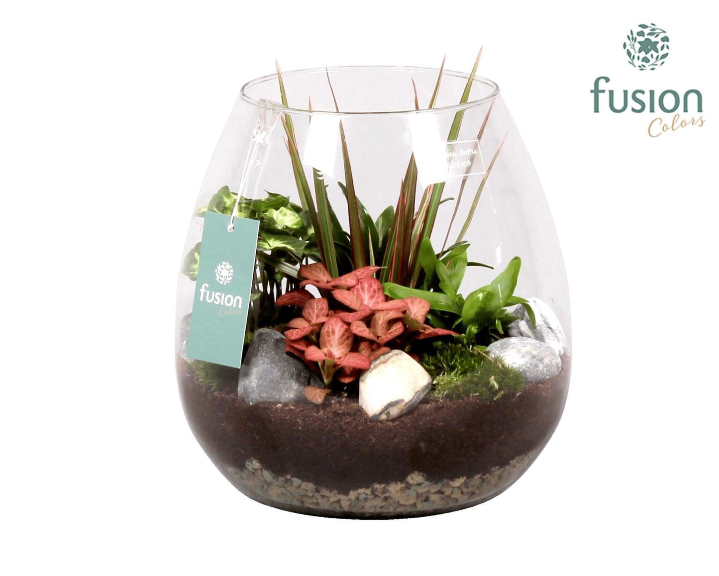 Green Bottle Abby Large met Groen Planten 25cm 24cm Pot