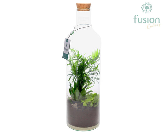 Green Bottle Fles Large met Arrangement groene planten 3pp 55cm 15cm Pot