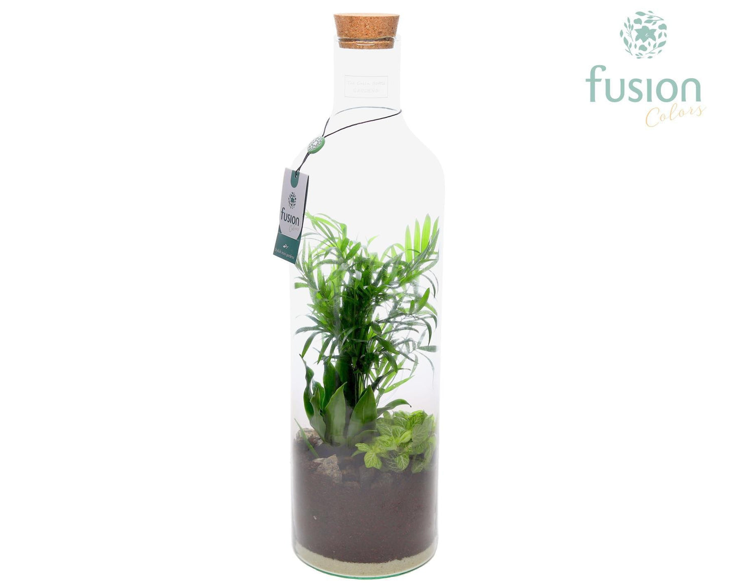 Green Bottle Fles Large met Arrangement groene planten 3pp 55cm 15cm Pot