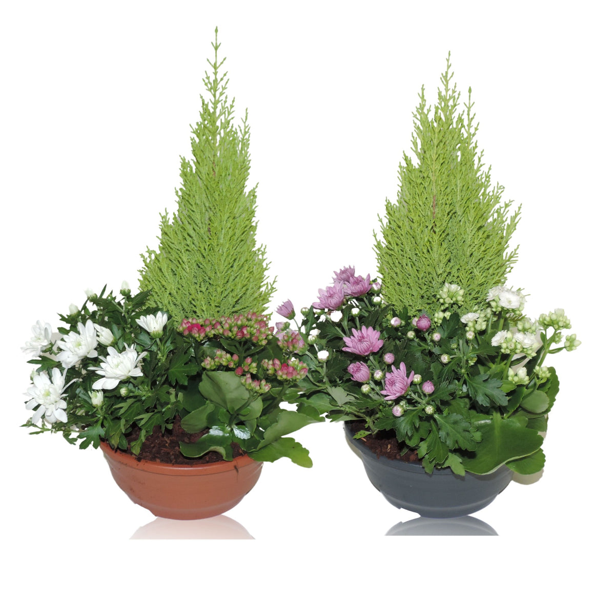 Outdoor arrangement 55cm 23cm Pot