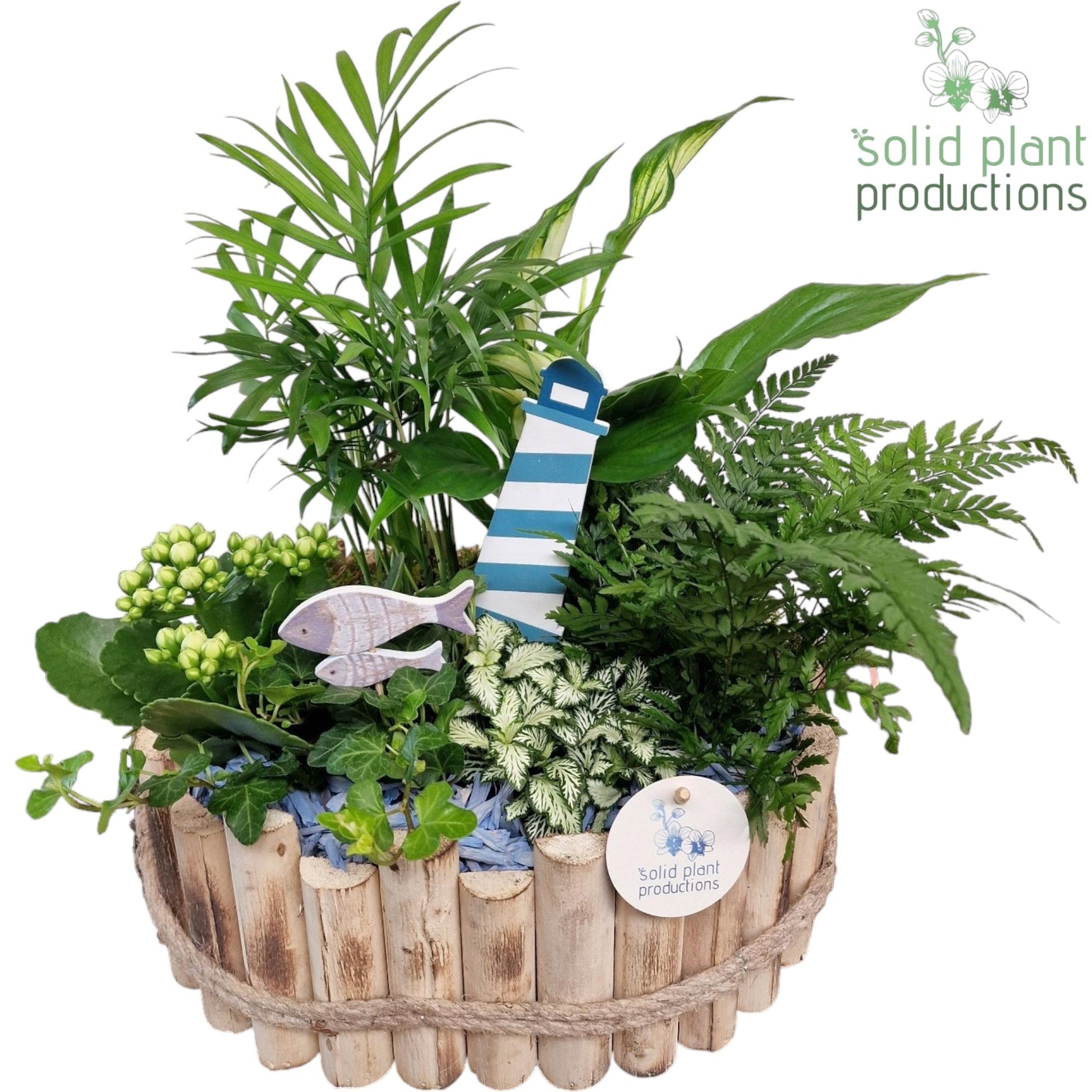 Solid Plant Productions HSC007 Bologna Large Maritiem Pack of 2
