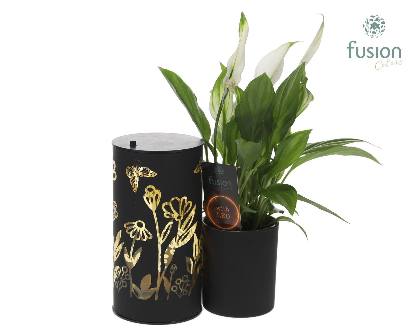 Fusioncolors BV Glas LED Duo met Spathiphyllum Pack of 7