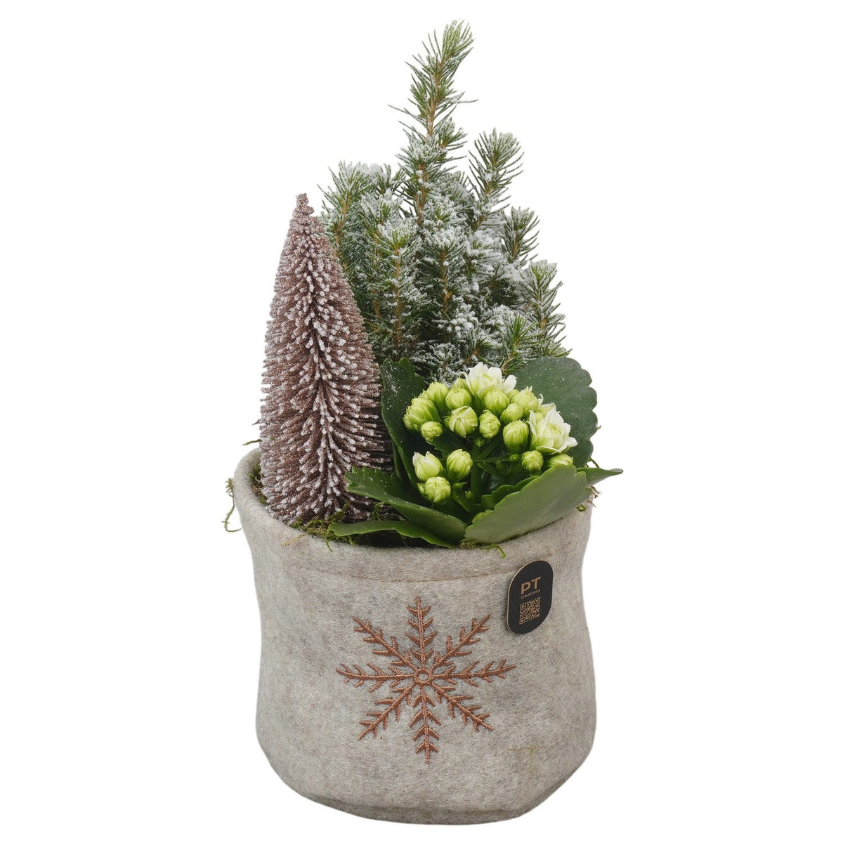 Christmas arrangement 28cm 13cm Pot