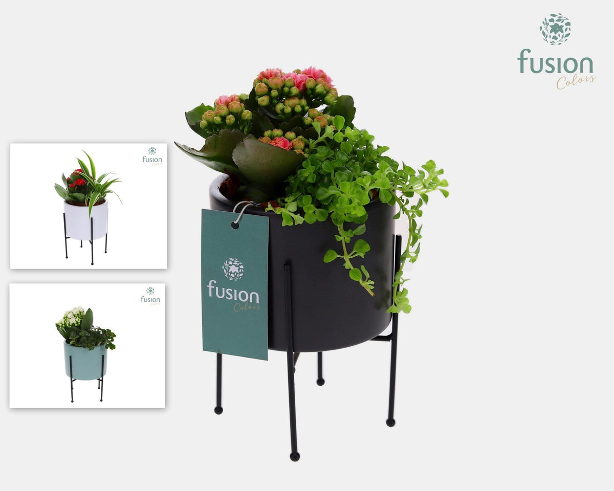 Keramiek pot op metalen pootjes met Arrangement 25cm 10cm Pot