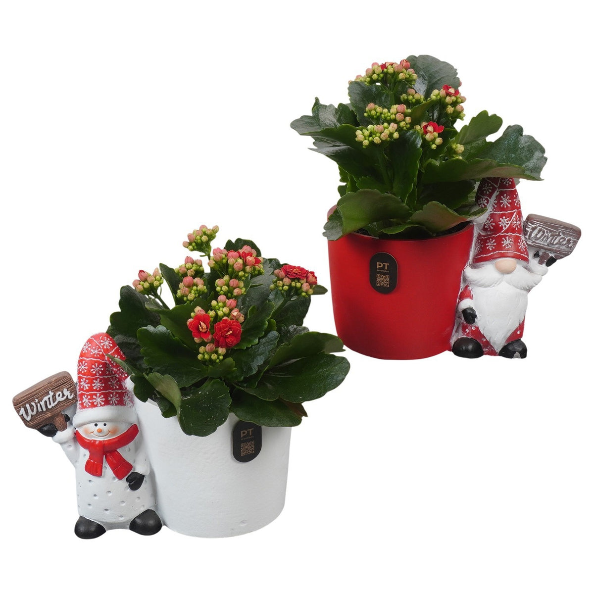 Christmas arrangement 16cm 14cm Pot
