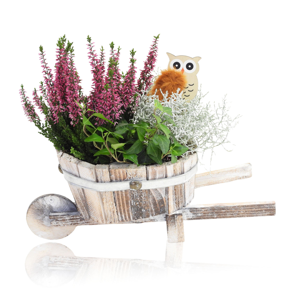 Outdoor arrangement 25cm 33cm Pot