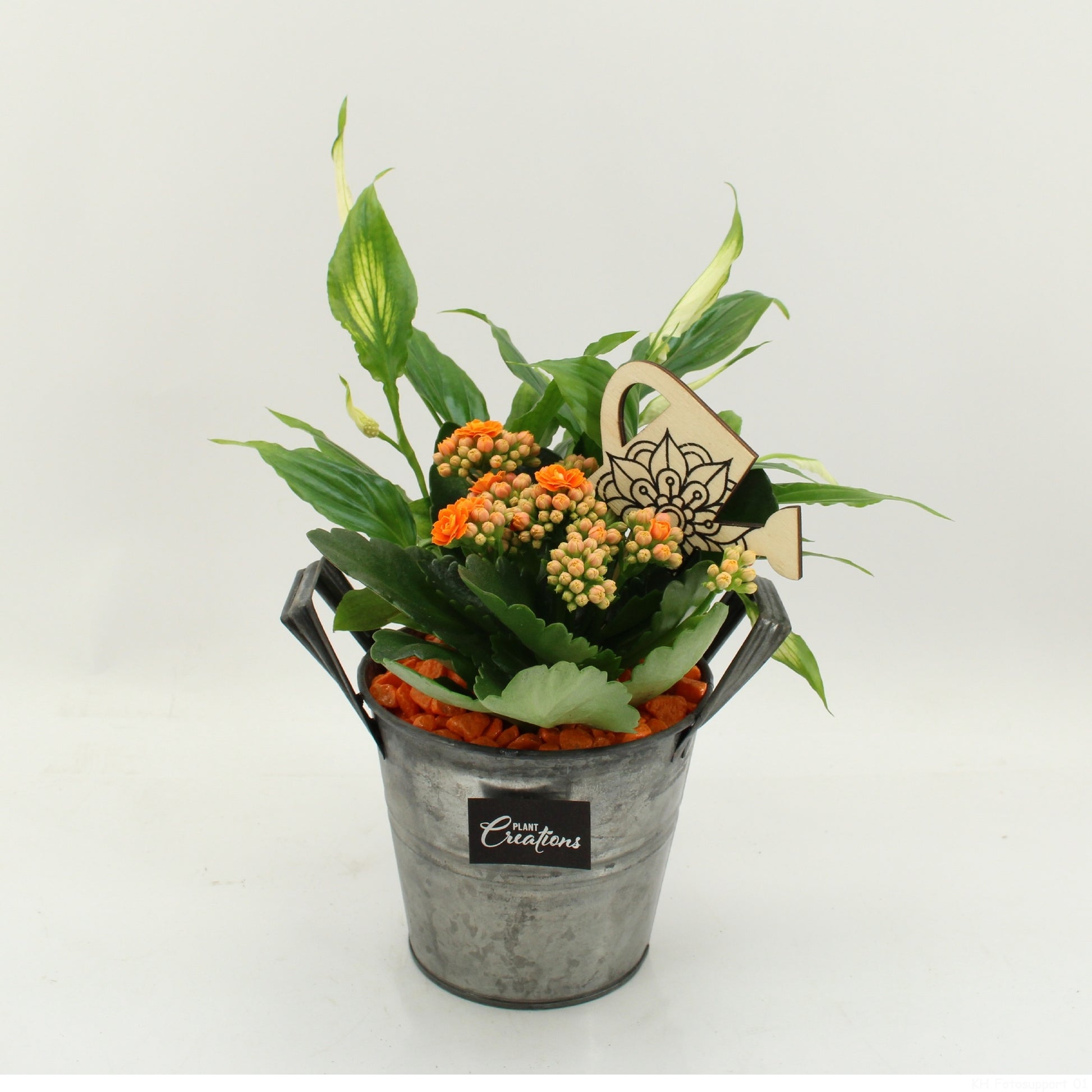 FDCR-2613OR Basic Fundamentals 30cm 14cm Pot