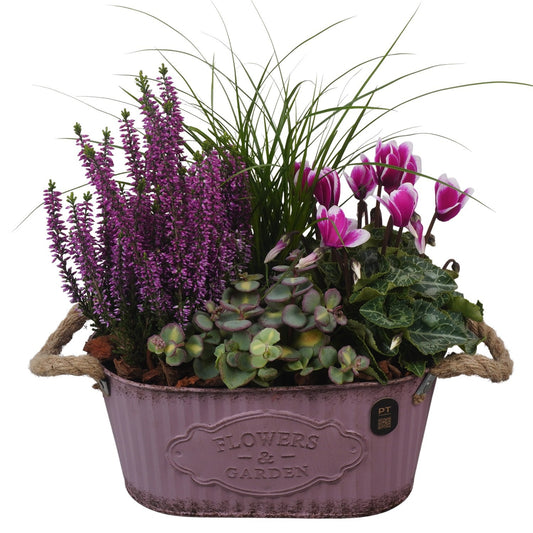 Outdoor arrangement 33cm 24cm Pot