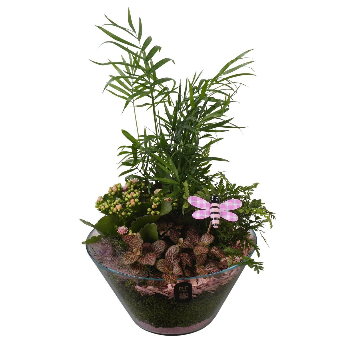 Indoor arrangement 44cm 26cm Pot