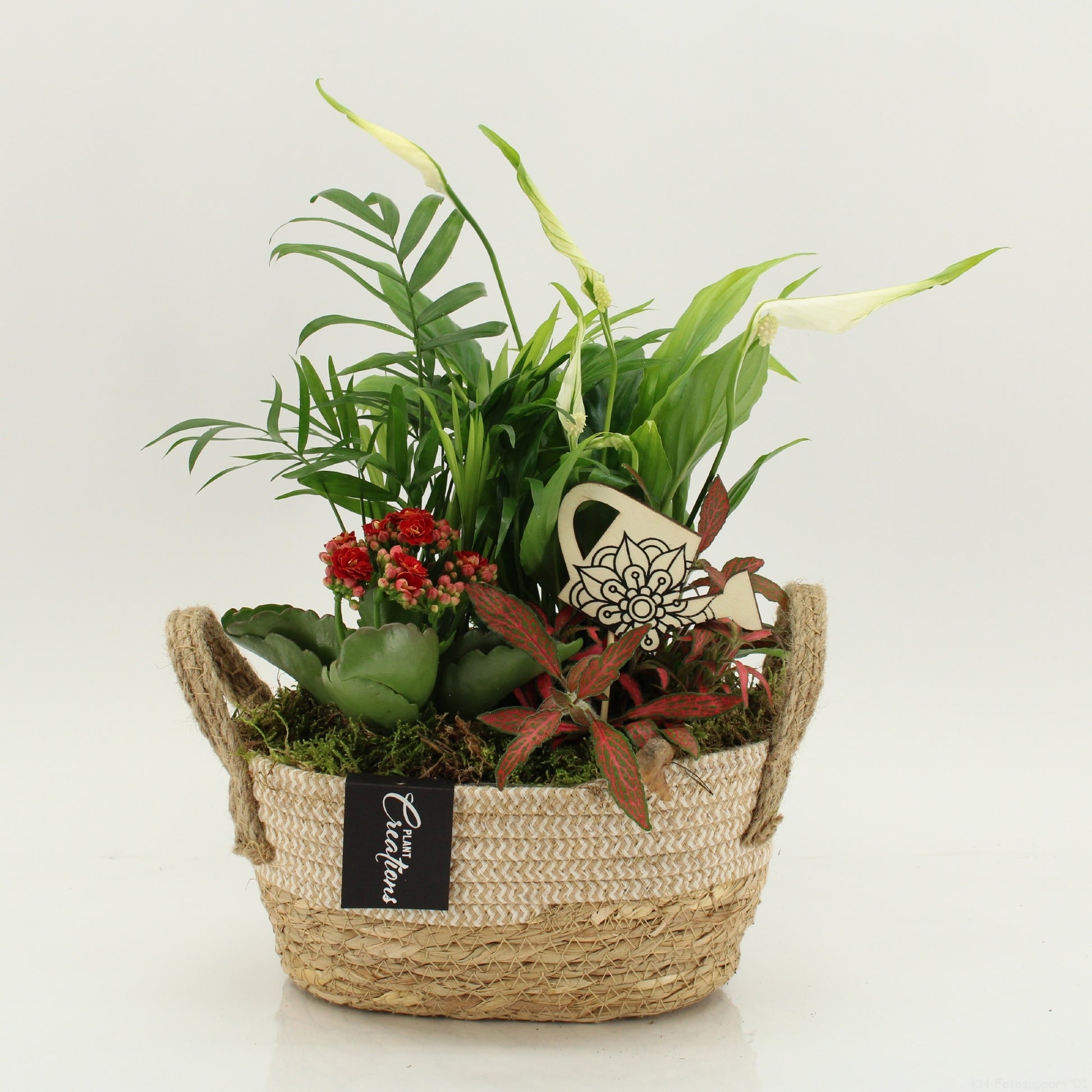 FDCR-2618R Basic Fundamentals 35cm 24cm Pot