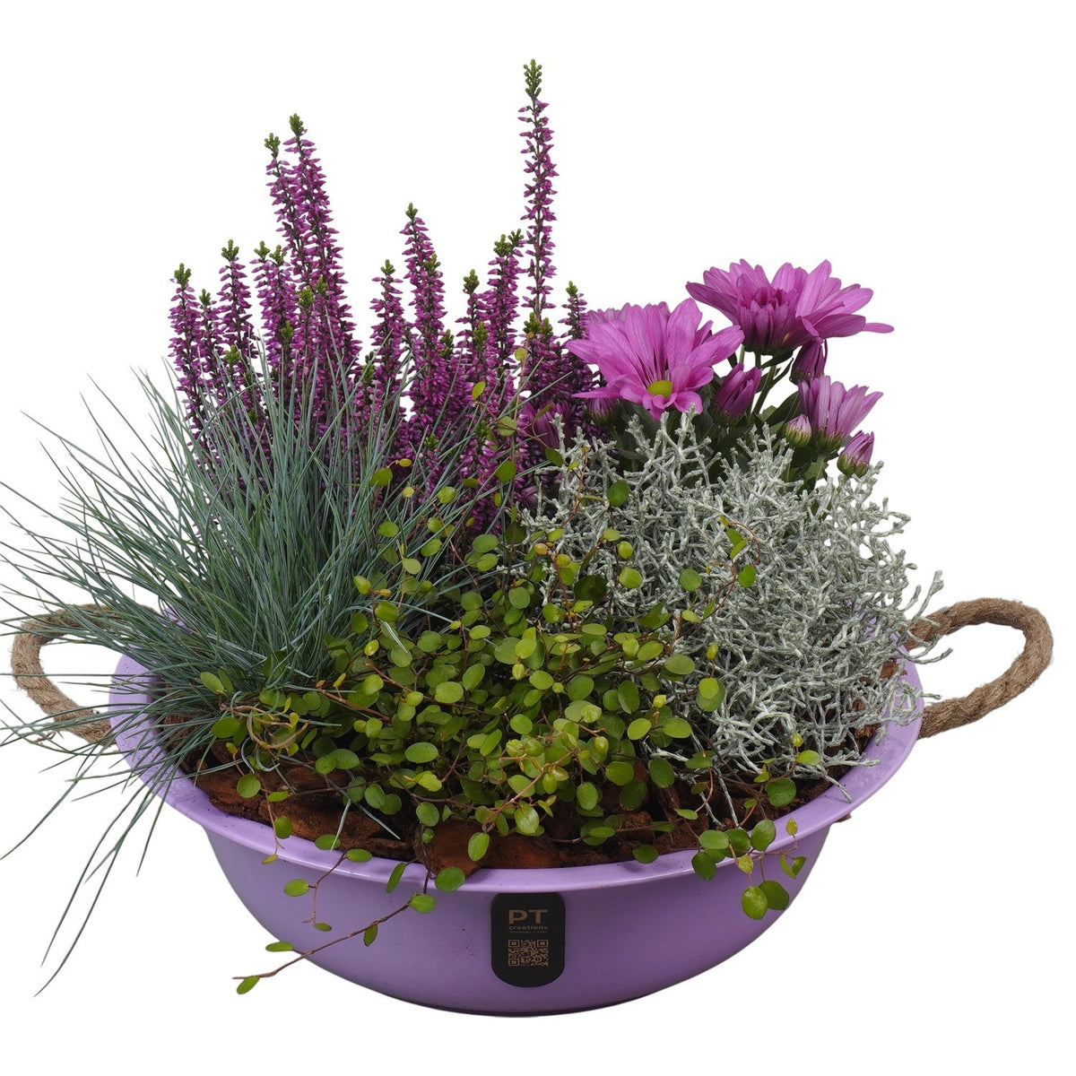 Outdoor arrangement 30cm 30cm Pot