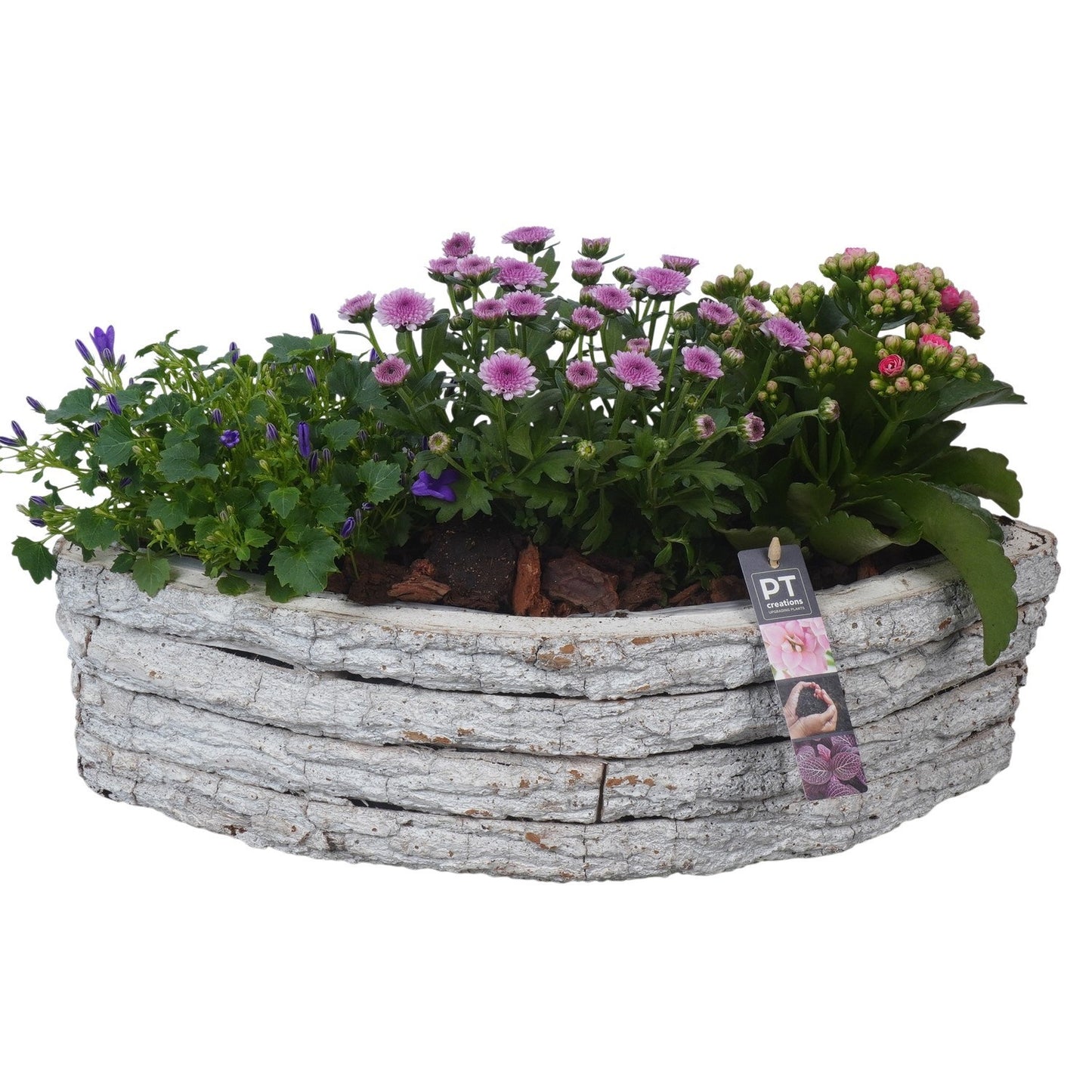 Outdoor arrangement 26cm 46cm Pot