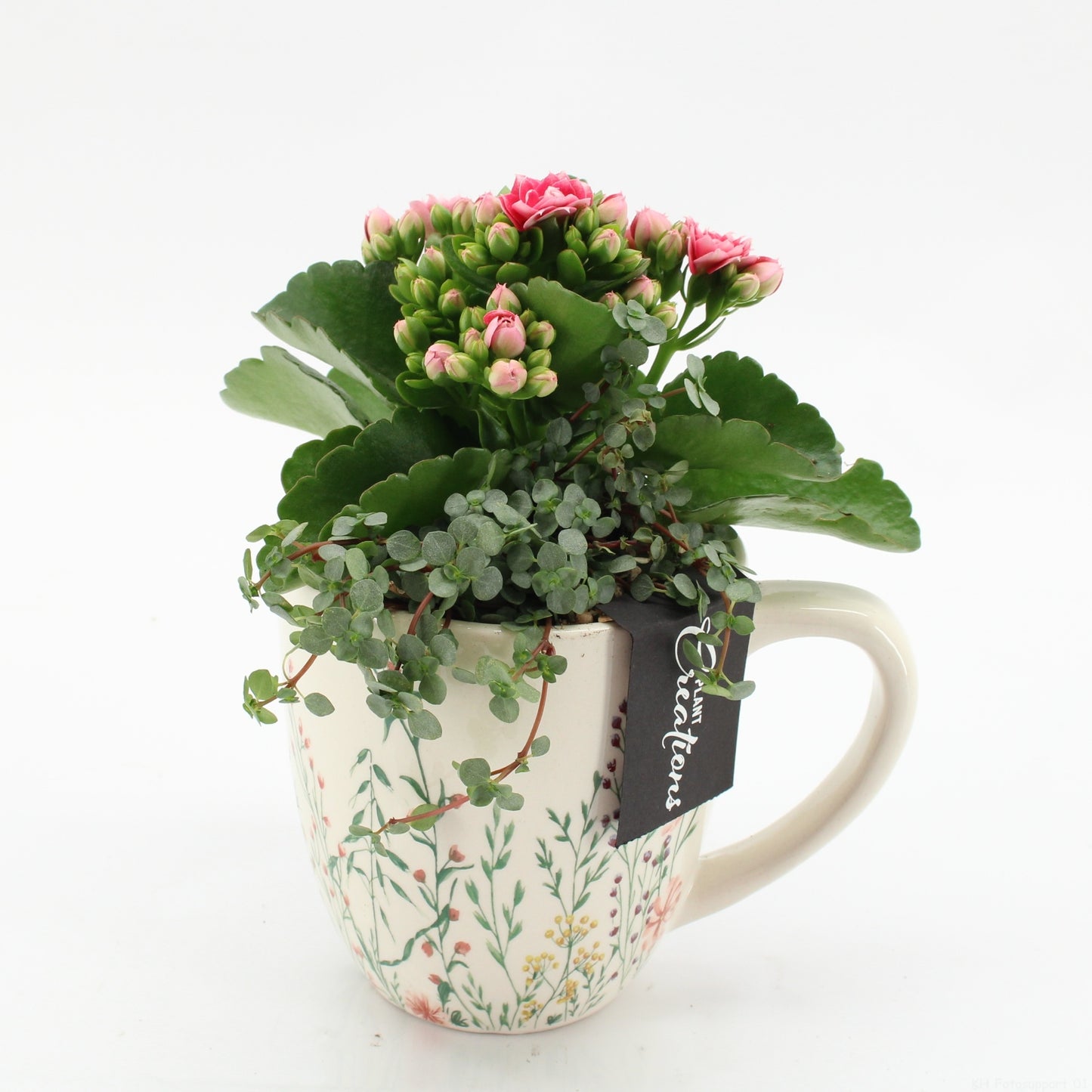 ESCR-2601RZ Essentials 20cm 11cm Pot