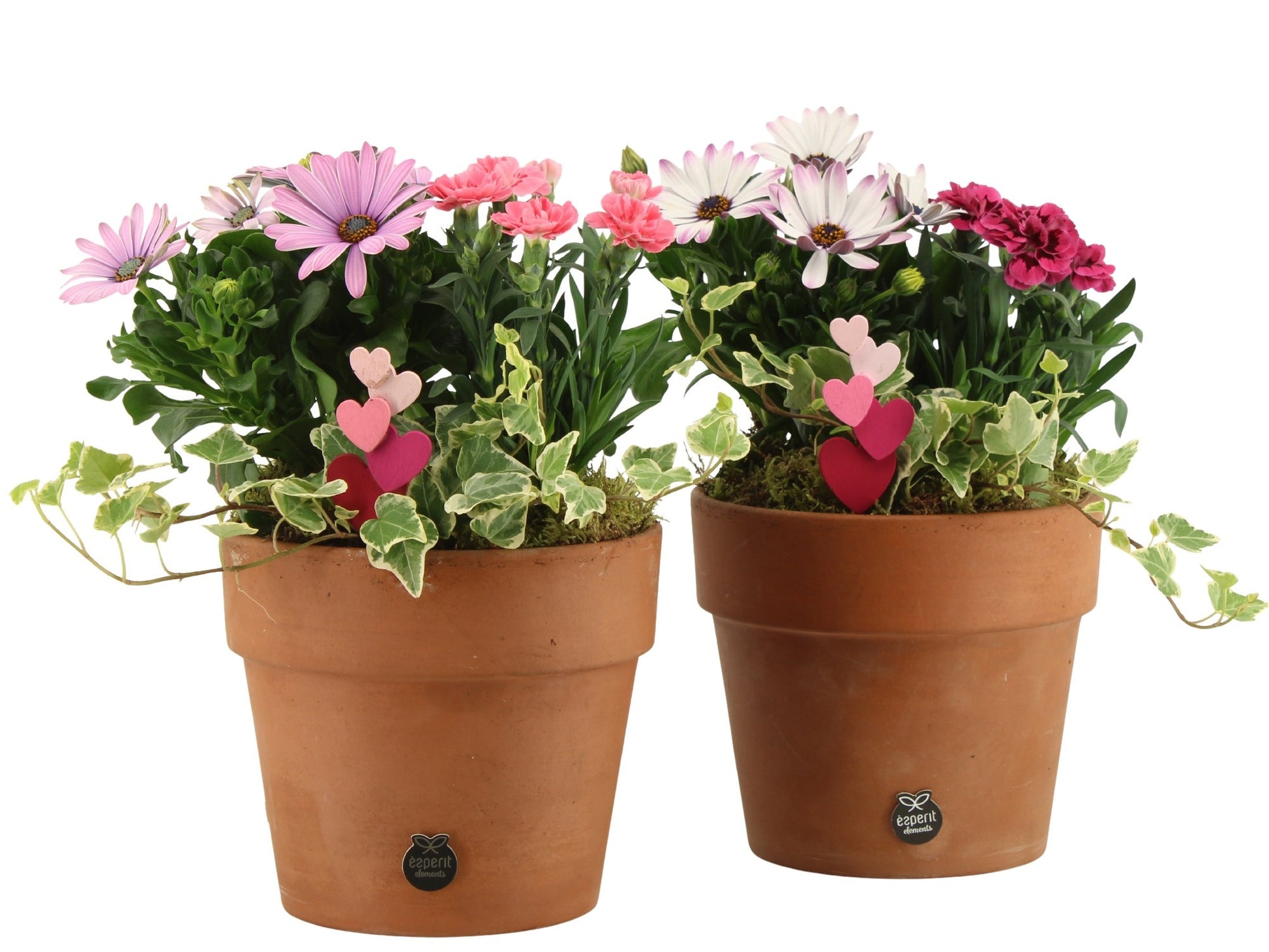 Outdoor arrangement 30cm 17cm Pot