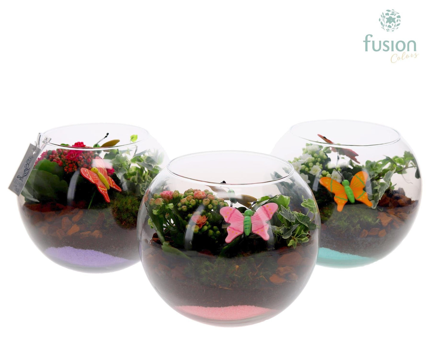 Glas vissenkom met Arrangement 2pp 20cm 19cm Pot