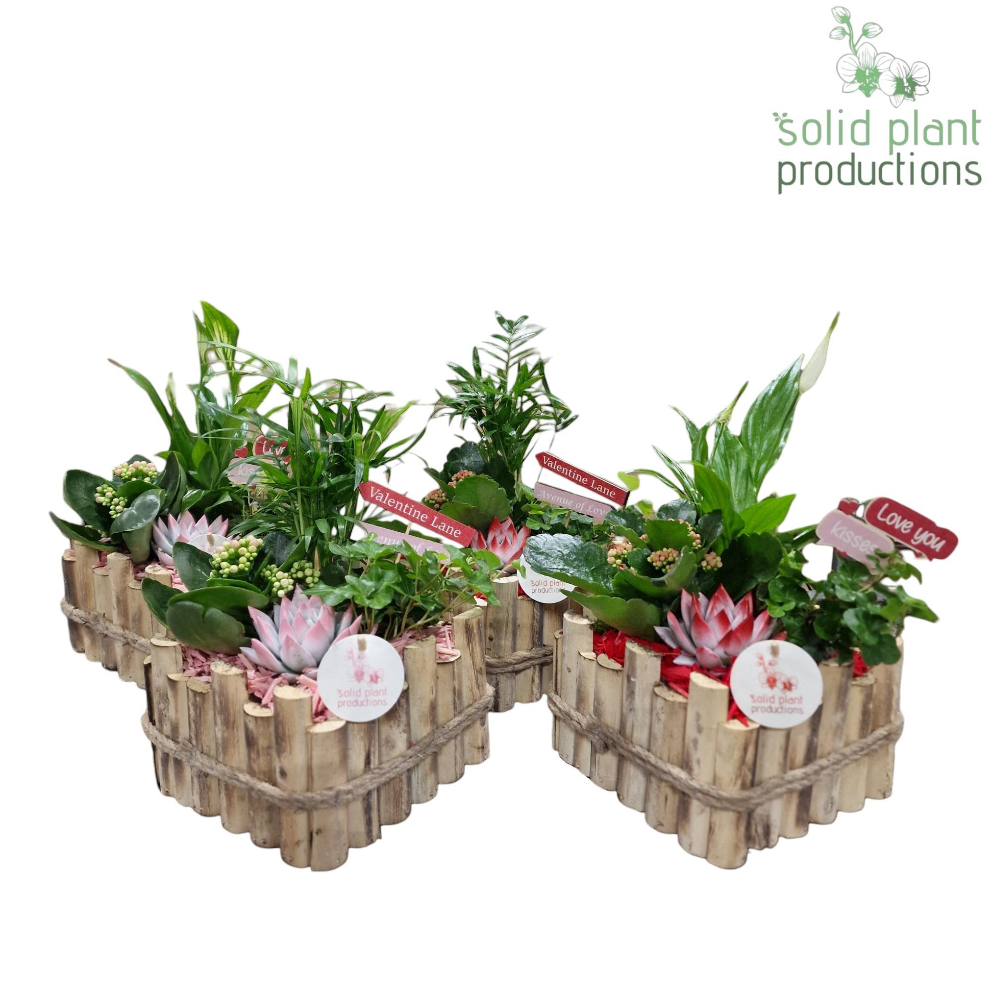 HVSCE004 Verona Small Red/Pink Mix 35cm 18cm Pot