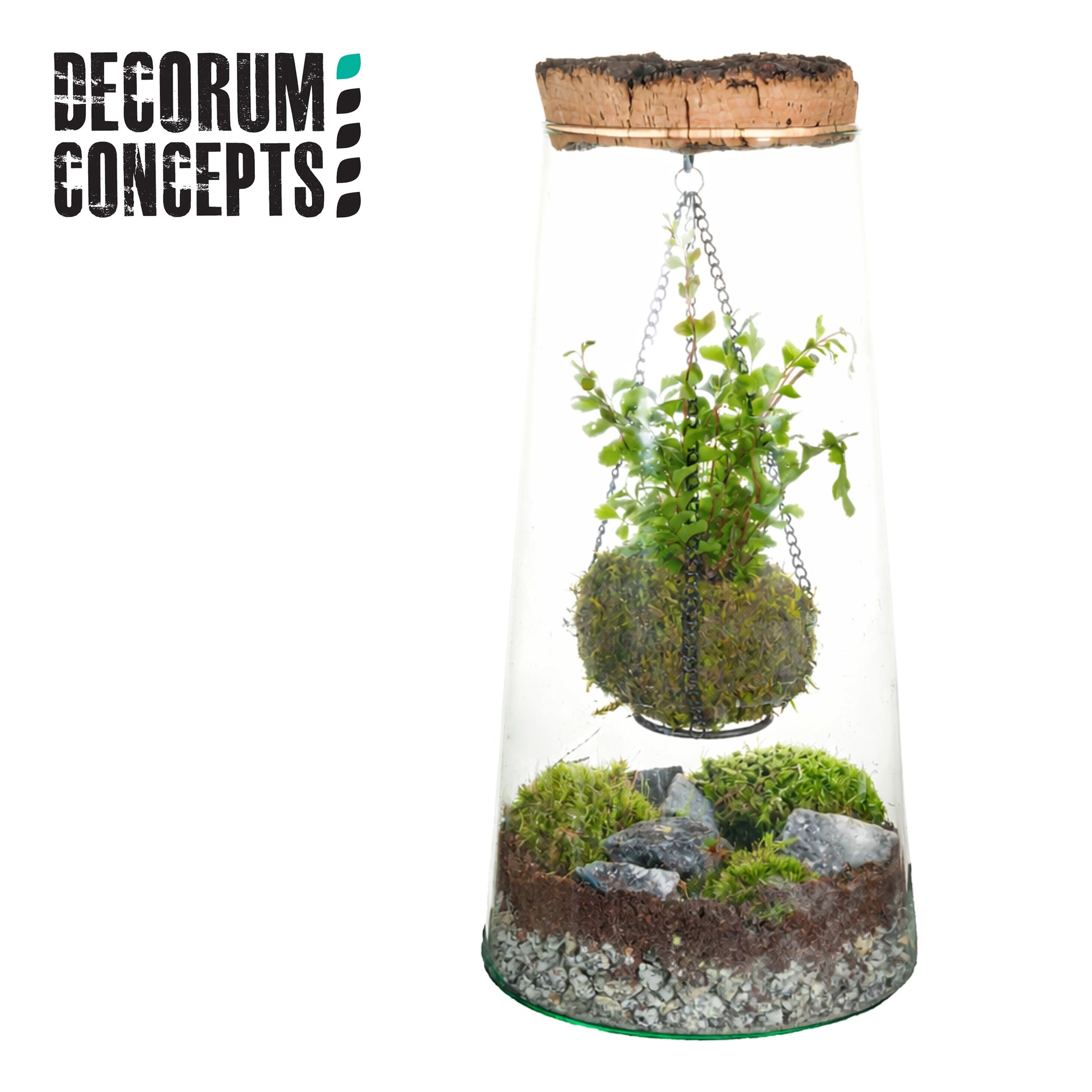 Indoor green arrangement 15cm Pot