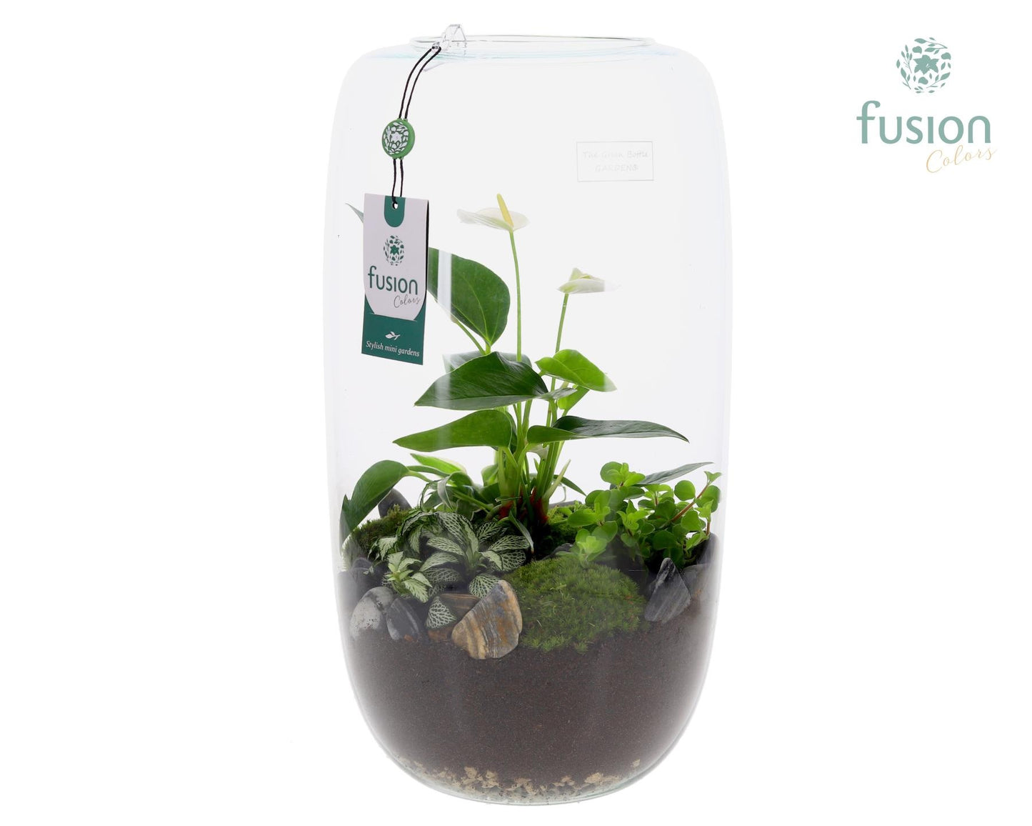 Fusioncolors BV Green Bottle Isabella XXLarge met Anthurium Arrangement Pack of 2