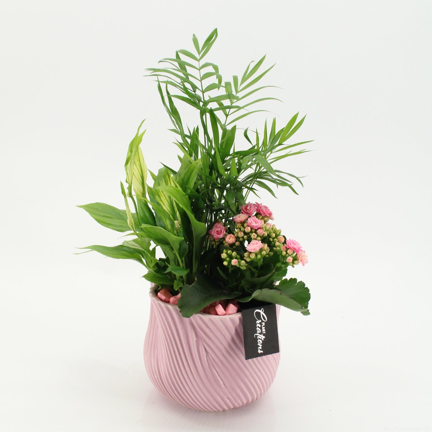 RECR-2620 Rentree 40cm 15cm Pot