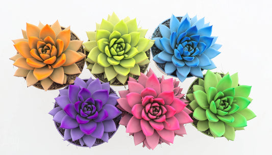 Rainbow spring mix 12cm 10.5cm Pot