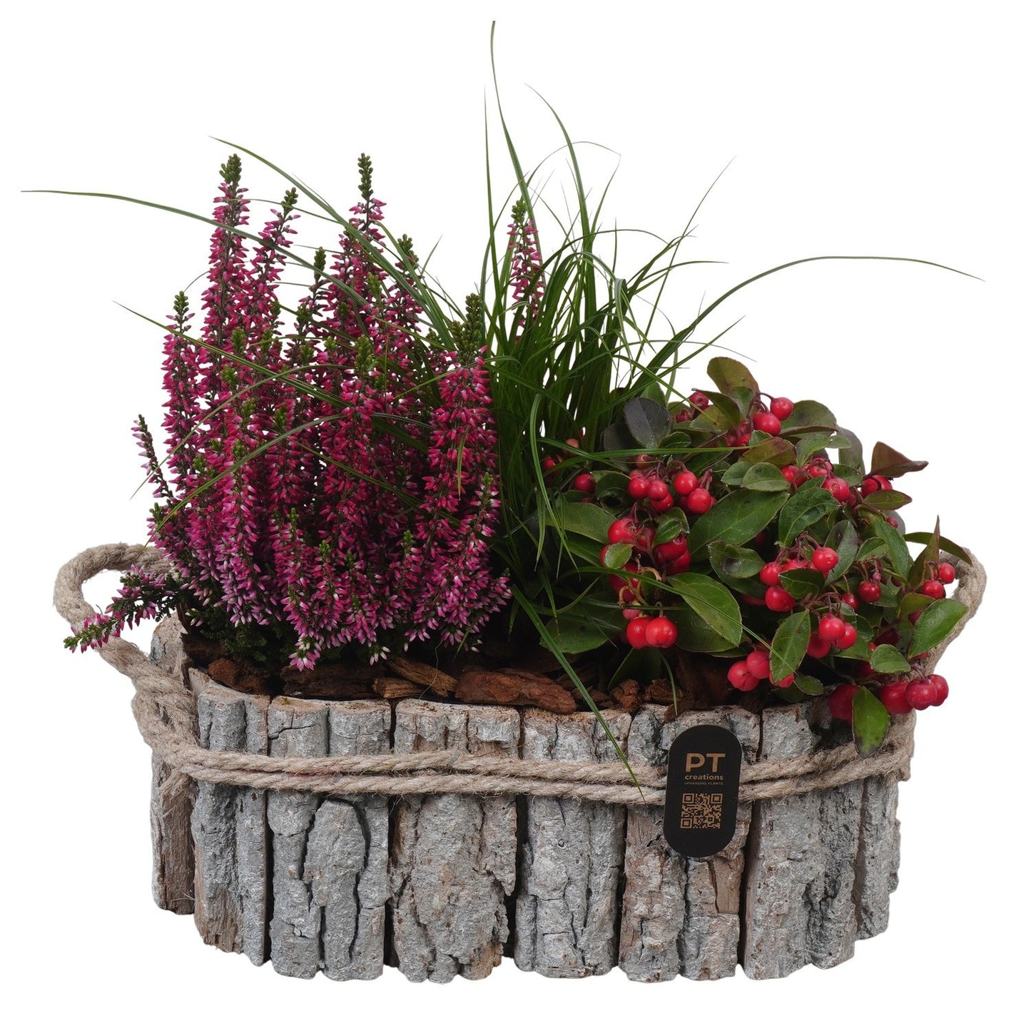 Outdoor arrangement 28cm 27cm Pot