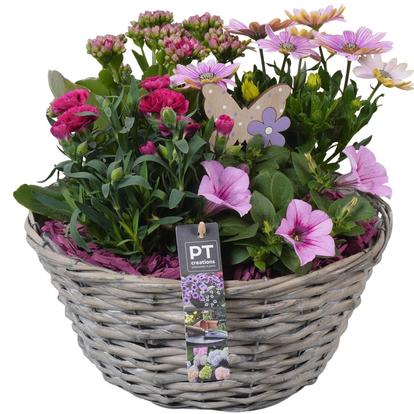 arr. PM196 30cm 30cm Pot