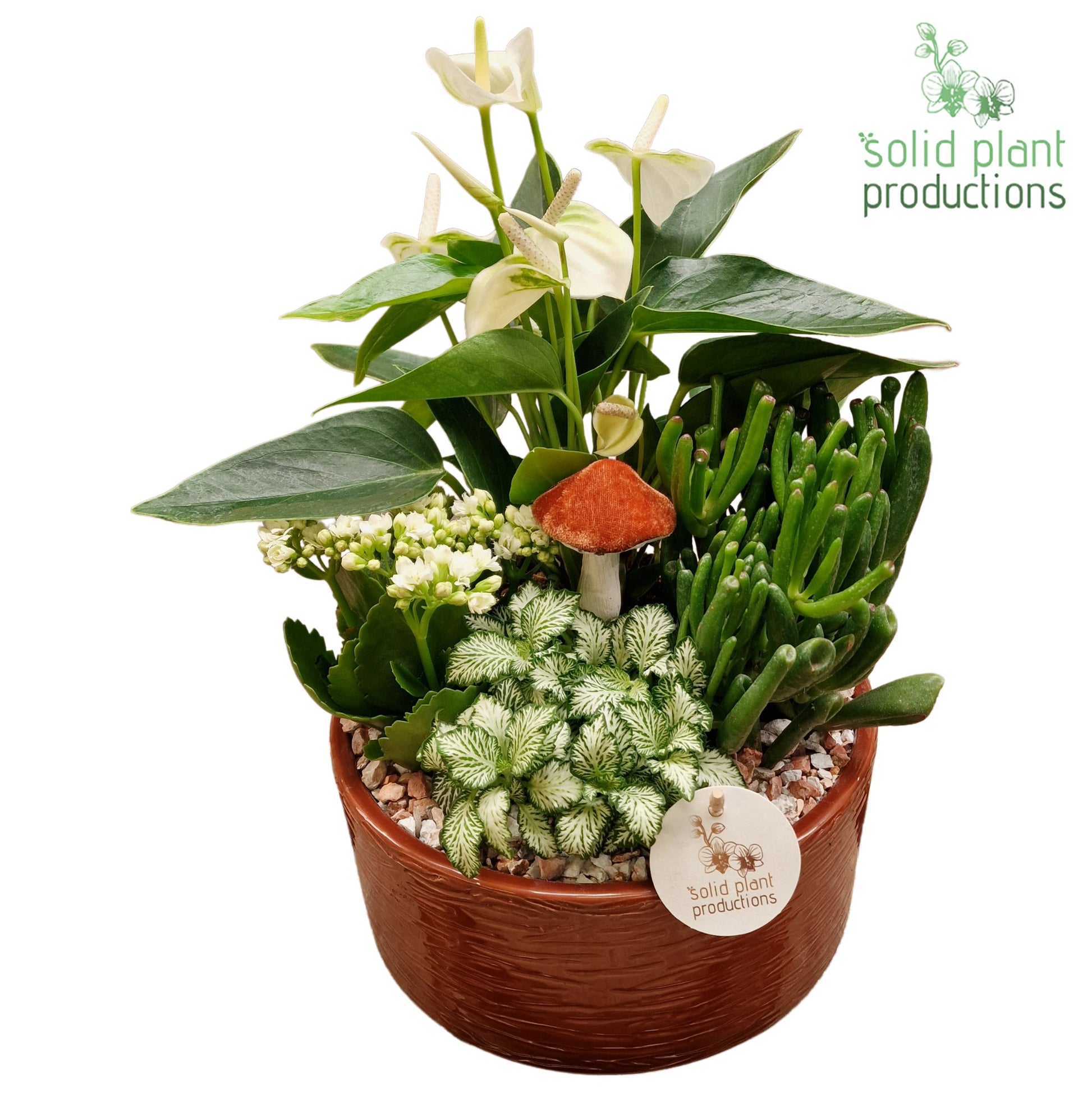 AT004 Stella Brown 42cm 22cm Pot