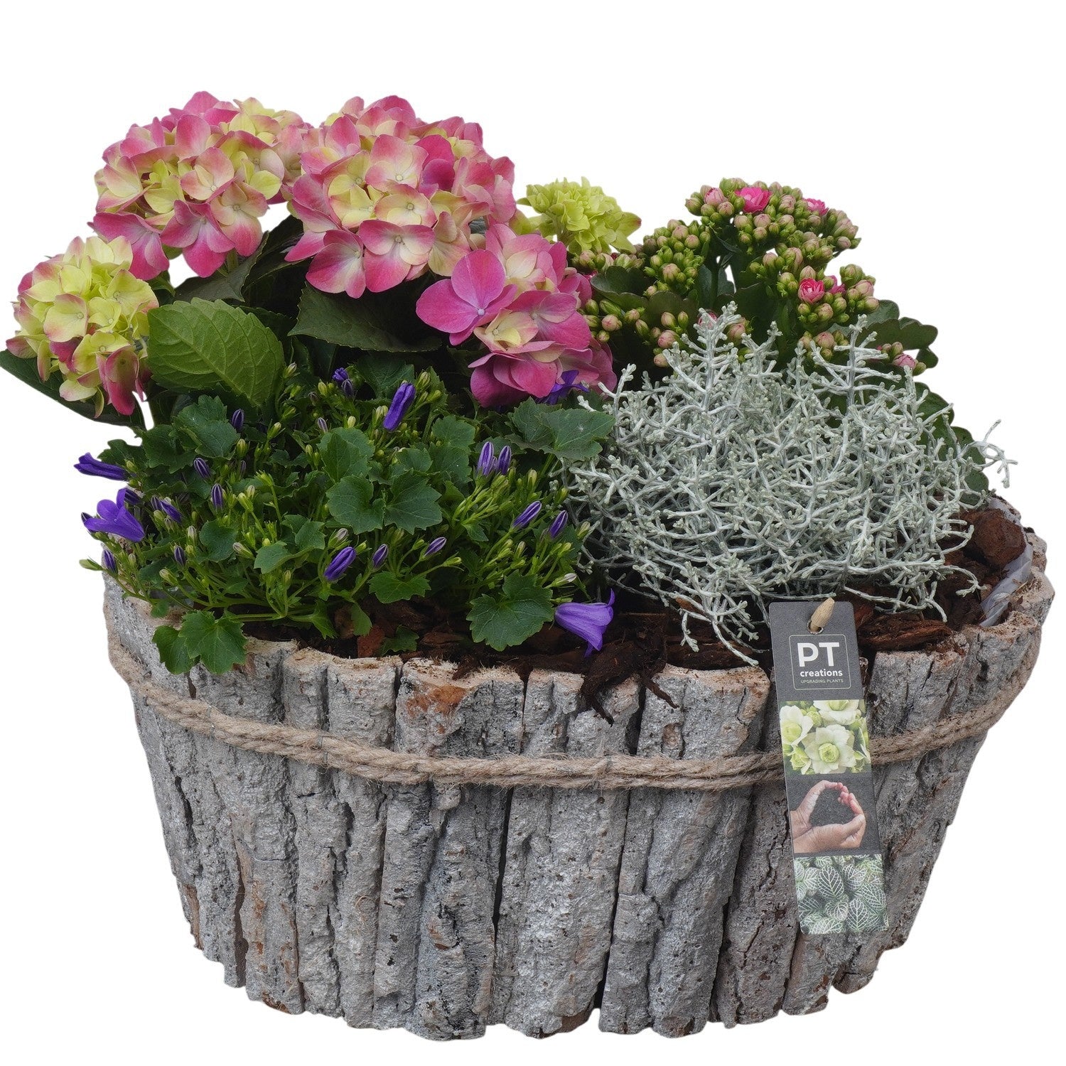 Outdoor arrangement 32cm 36cm Pot