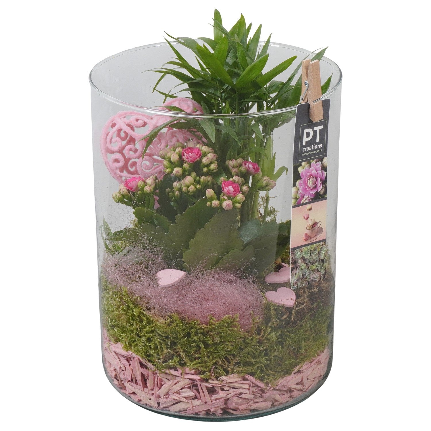Indoor arrangement 24cm 15cm Pot
