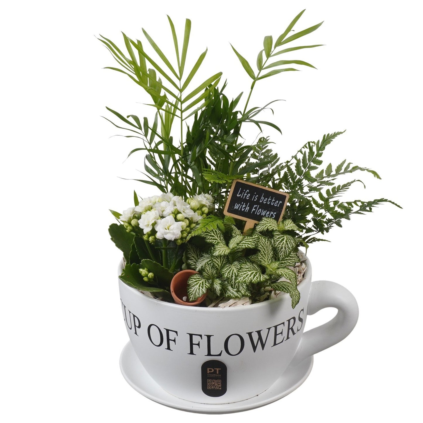 Indoor arrangement 38cm 24cm Pot