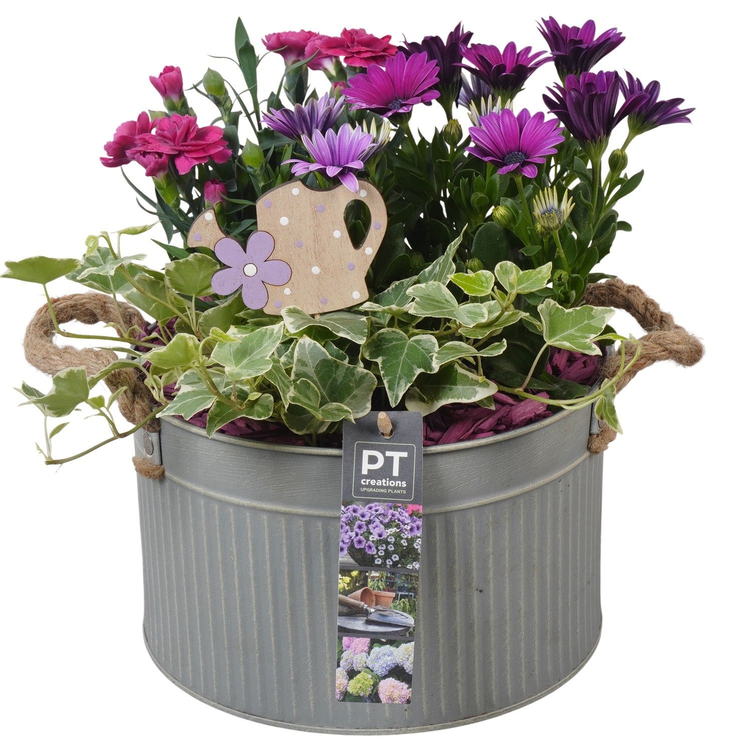 Outdoor arrangement 26cm 21cm Pot
