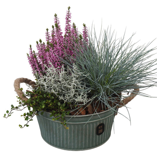 Outdoor arrangement 26cm 19cm Pot