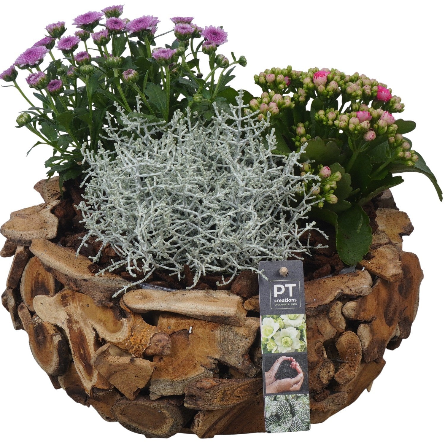 Outdoor arrangement 25cm 32cm Pot