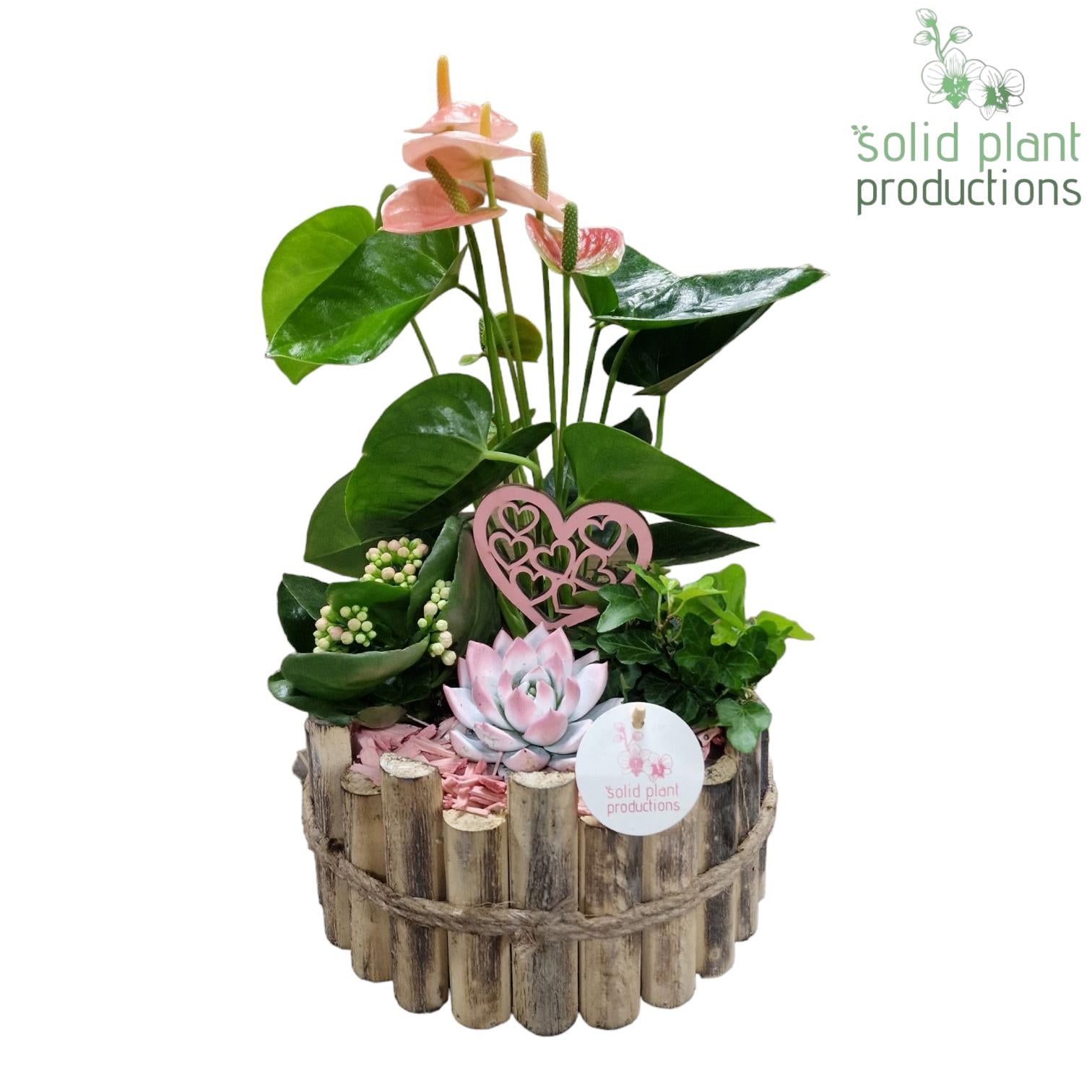 HVAE002 Milano Large Pink 40cm 23cm Pot