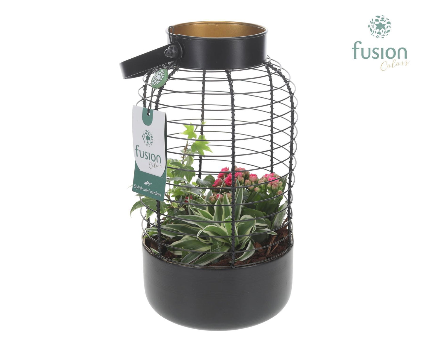 Fusioncolors BV Metaal Lantaarn met arrangement 3pp Pack of 5