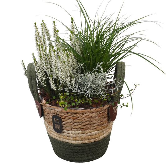 Outdoor arrangement 41cm 18cm Pot
