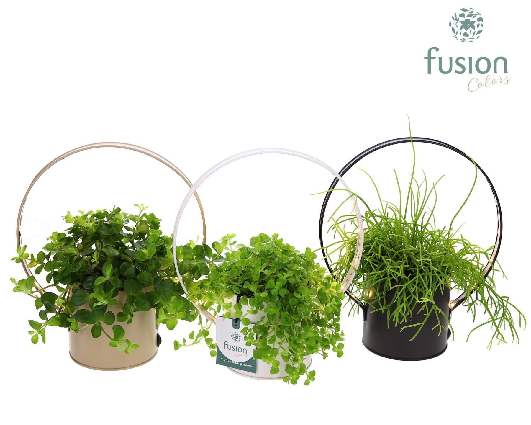 Planter zink met verlichting met Groene planten 25cm 20cm Pot