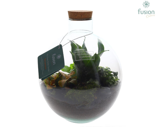 Terrarium Okaido Medium met arrangement 25cm 23cm Pot