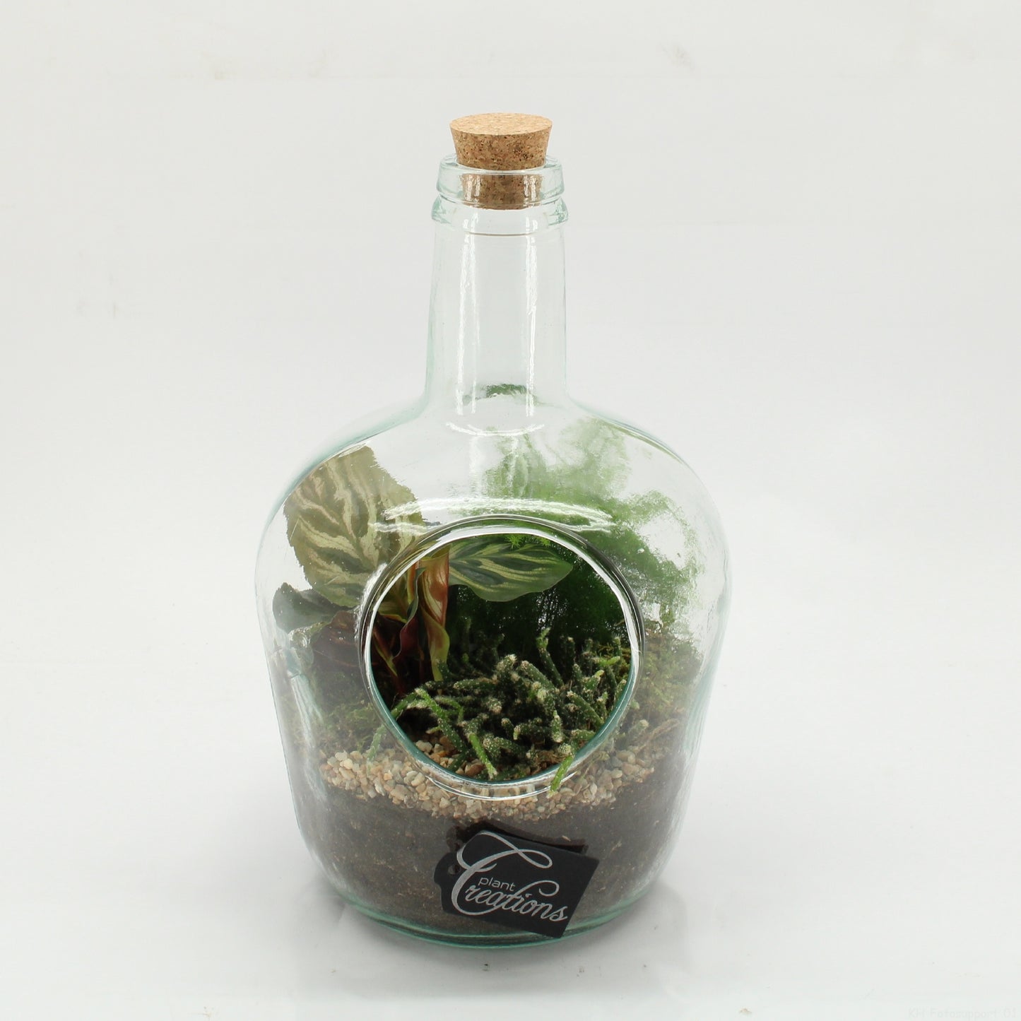 GRCR-2609 Green Essentials terrarium 30cm 18cm Pot