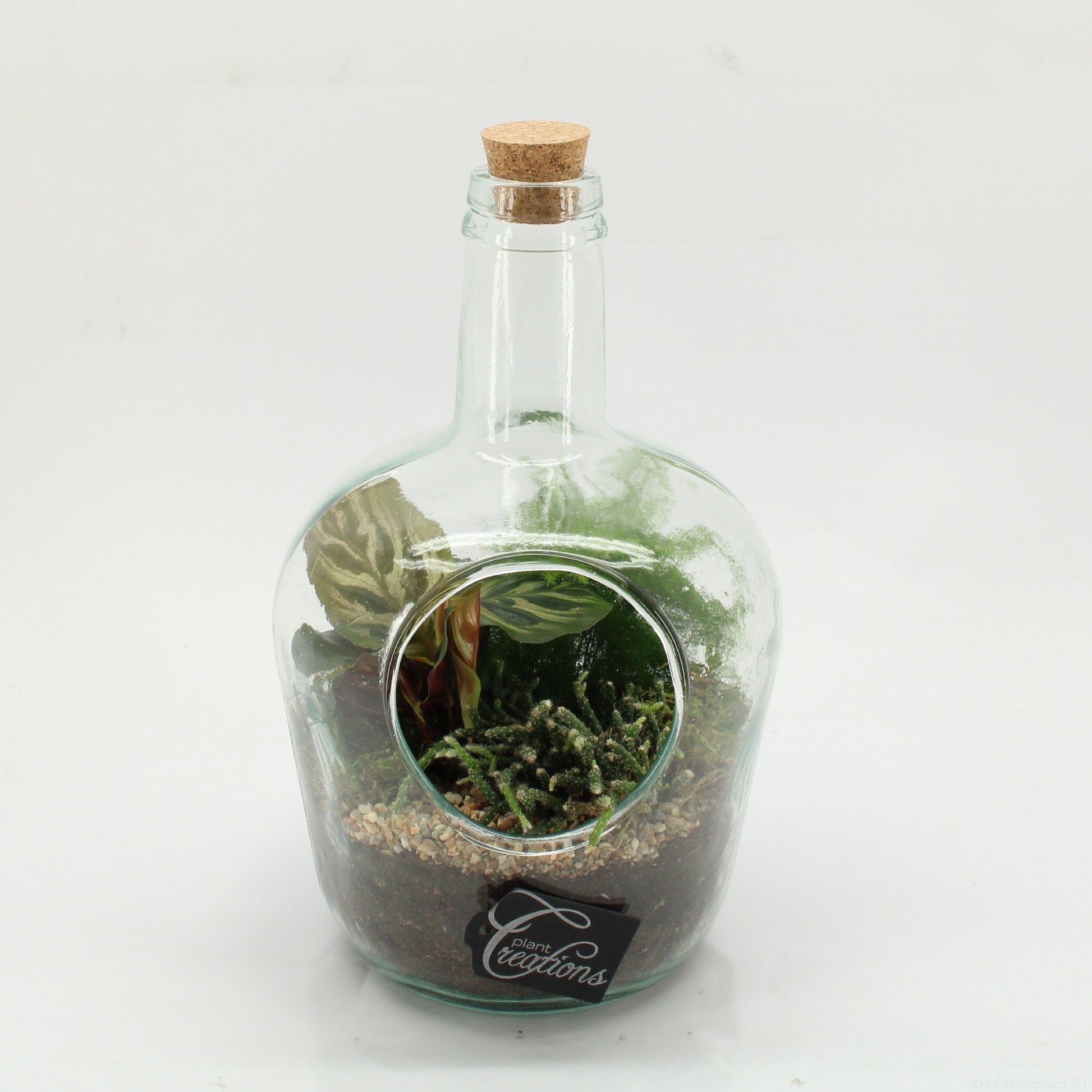 GRCR-2609 Green Essentials terrarium 30cm 18cm Pot