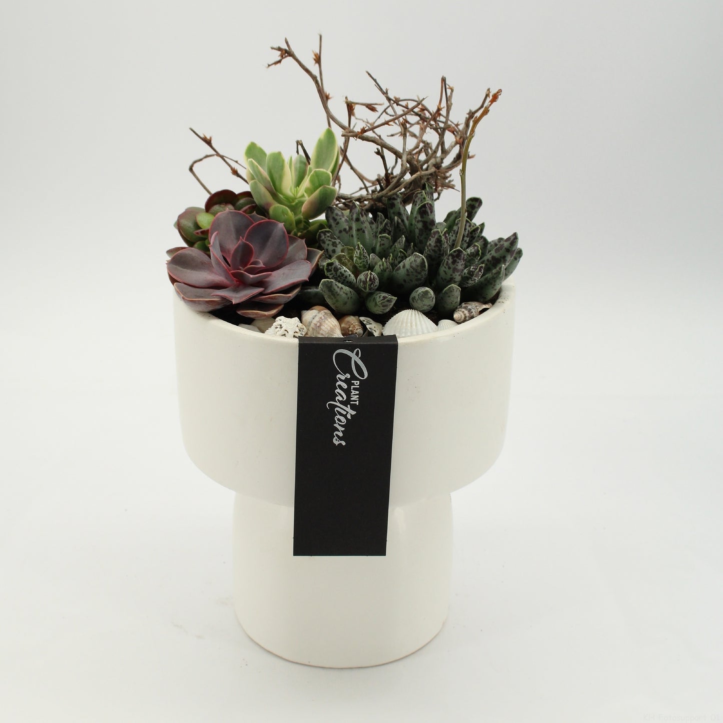 Indoor green arrangement 30cm 16cm Pot