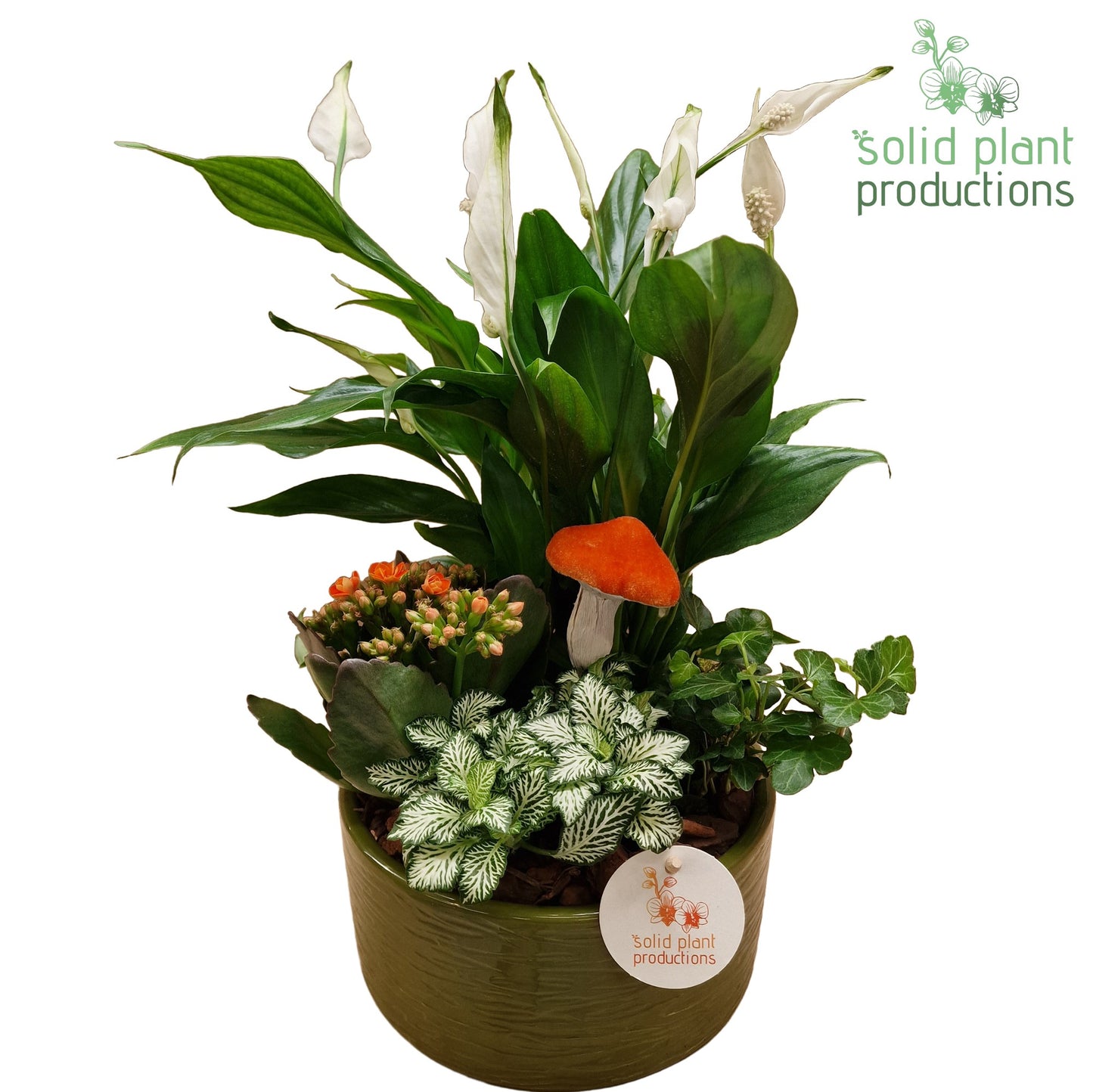 SP003 Loes Green Orange 38cm 18cm Pot