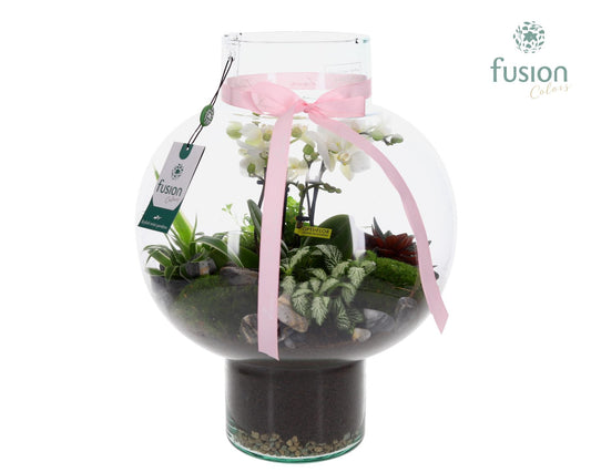 Green Bottle Laura Large met 4 tak Phalaenopsis arrangement 24 uurs levertijd 43cm 31cm Pot