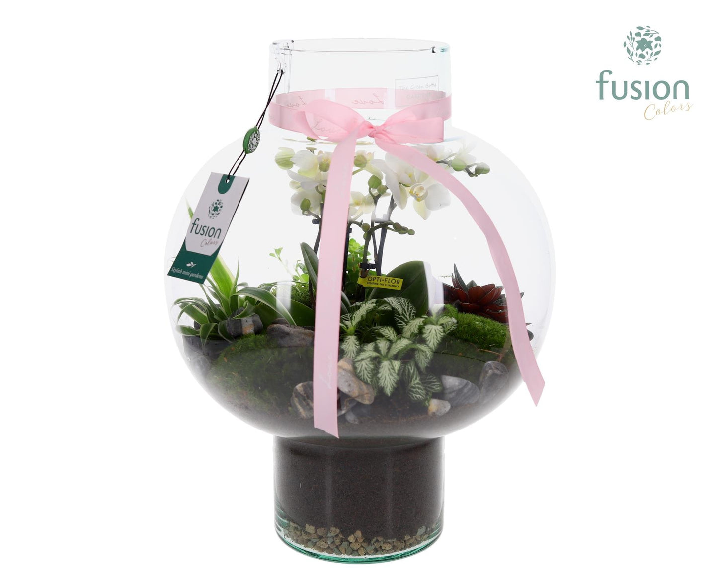 Green Bottle Laura Large met 4 tak Phalaenopsis arrangement 24 uurs levertijd 43cm 31cm Pot