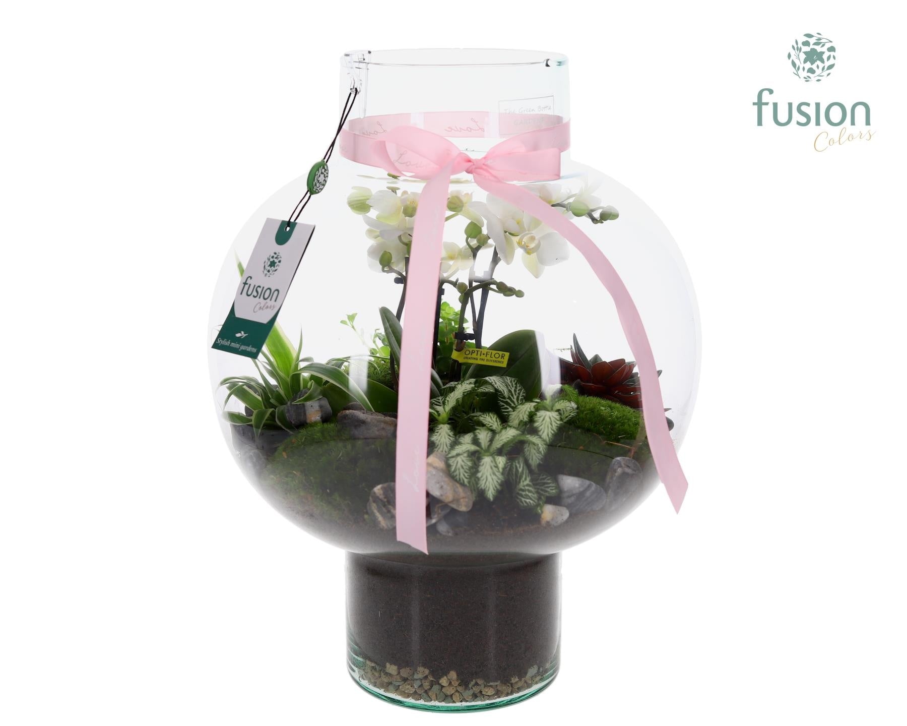 Green Bottle Laura Large met 4 tak Phalaenopsis arrangement 24 uurs levertijd 43cm 31cm Pot